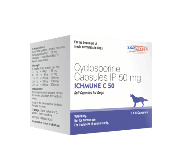 아토가드 사이클로스포린 Ichmune C 50mg 60정